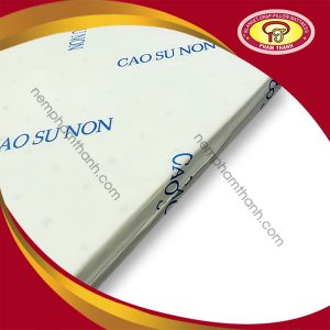 Nệm Phạm Thanh - Nệm cao su non Casumax vải thun - Phạm Thanh